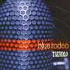 Blue Rodeo - Disappear