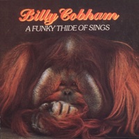 A Funky Thide of Sings - Billy Cobham