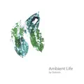 Structure Of Ambient Life