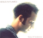 Notes of Tenderness