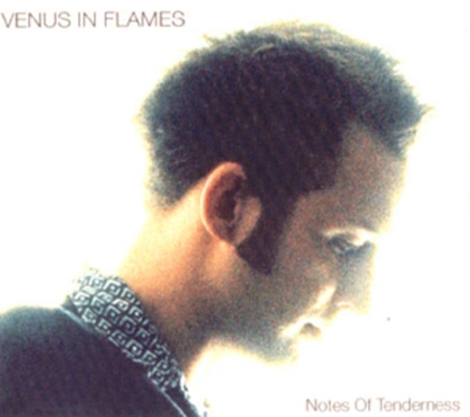 Notes of Tenderness