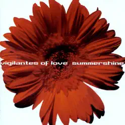 Summershine - Vigilantes Of Love