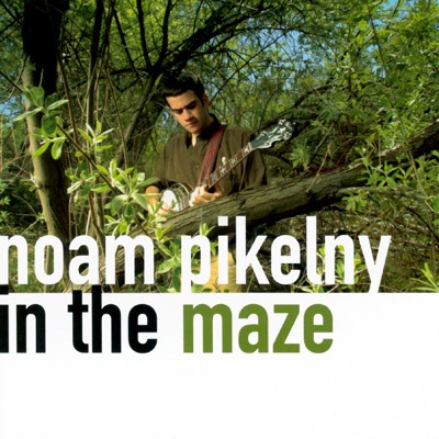 In the Maze