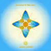 Adham Shaikh - Ethereal Ion