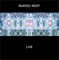 Martyr - Rusted Root lyrics