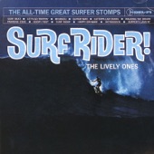 Surf Rider artwork