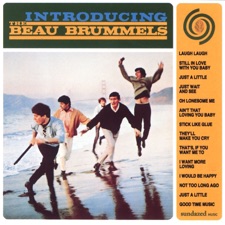 The Beau Brummels - Just a Little