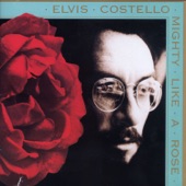 Elvis Costello - Harpies Bizarre