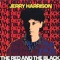 Things Fall Apart - Jerry Harrison lyrics