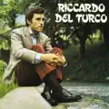 Figlio unico