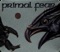 Battalions of Hate - Primal Fear lyrics