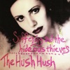 Suffering and the Hideous Thieves / Hush Hush Split