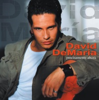 Precisamente ahora - Single - David DeMaría