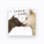 Coachwhips
