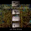 Friends of Dean Martinez - Under the Waves