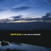 David Gray - Kangaroo