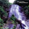 Tropical Waterfall - Darwin Chamber lyrics