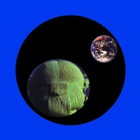 Hemisphere - Pete Namlook & Steve Stoll