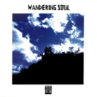 Wandering Soul - Alban Gerhardt & Pete Namlook