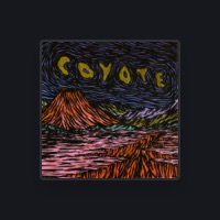 Coyote