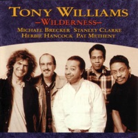 Tony Williams - Cape Wilderness