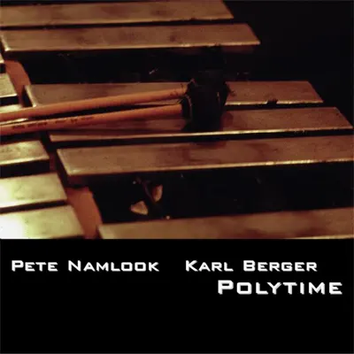 Listen to Polytime by Karl Berger & Pete Namlook