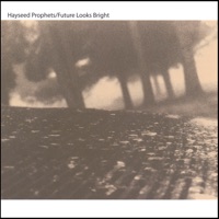 Album cover for You've Got a Vow by Hayseed Prophets