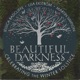 Beautiful Darkness Celebrating the Winter Solstice