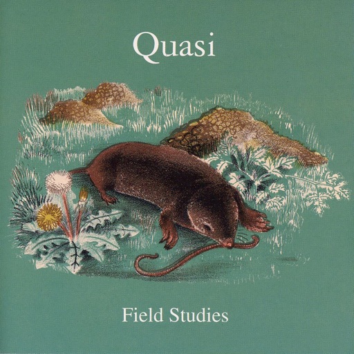 Quasi - Field Studies