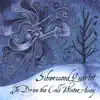 Silverwood Quartet - Vivaldi: Winter from the Four Seasons 2. Largo