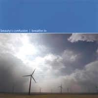 Beauty's Confusion - Whirlwind