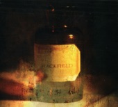 Blackfield - Pain NYC