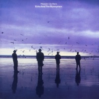 Echo & The Bunnymen - It Was a Pleasure