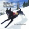Mellow Daddy Skier - Eric T. & the Skis lyrics