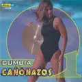 No Pude Quitarte Las Espinas