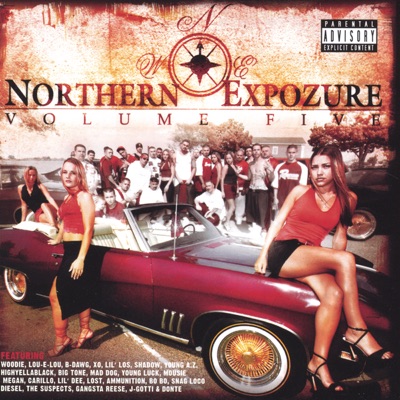 MEGAN / WOODIE - F****n' Wit a Playa