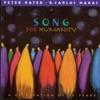 Peter Kater - Flight Song
