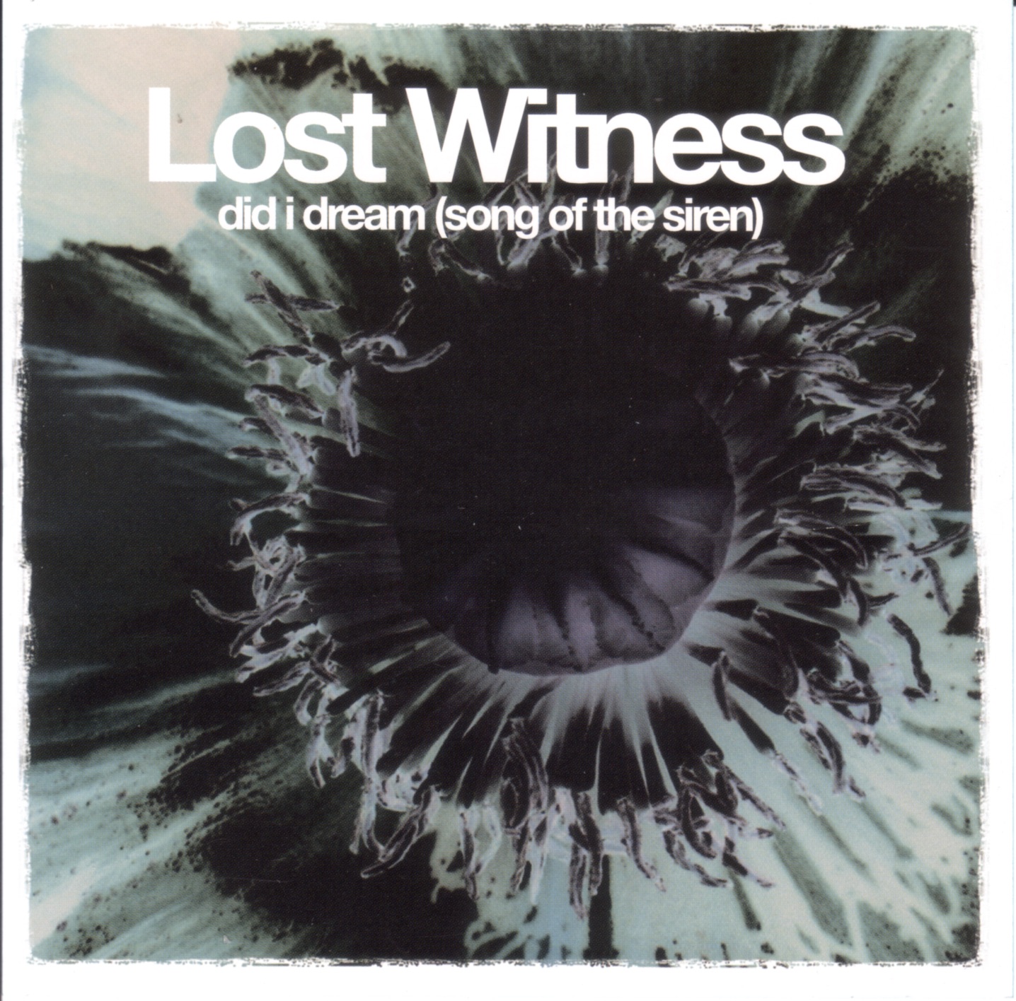 Did I Dream (Song to the Siren) - EP by Lost Witness album cover
