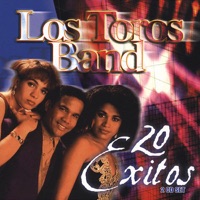 Los Toros Band - Llego Tu Marido