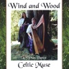 Celtic Muse, Valerie Blessley and Jennifer Pratt-Walter