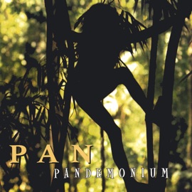 Revolution PAN