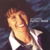 Perfect World