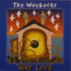The Waybacks - Last Steam Engine Train