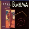 Track to Bumbliwa