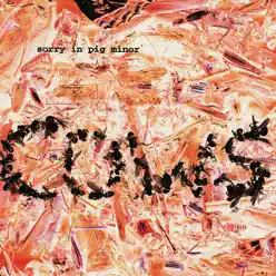 Sorry In Pig Minor - Cows Sorry In Pig Minor - Cows