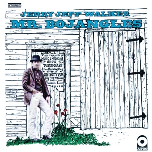Cover voor Jerry Jeff Walker - Broken Toys (stereo mix)