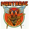 The Very Best of Montrose, 2000
