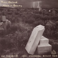 Walk in Beauty - Abel-Steinberg-Winant Trio & Aki Takahashi