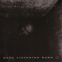 The Ready Made Boomerang - Deep Listening Band