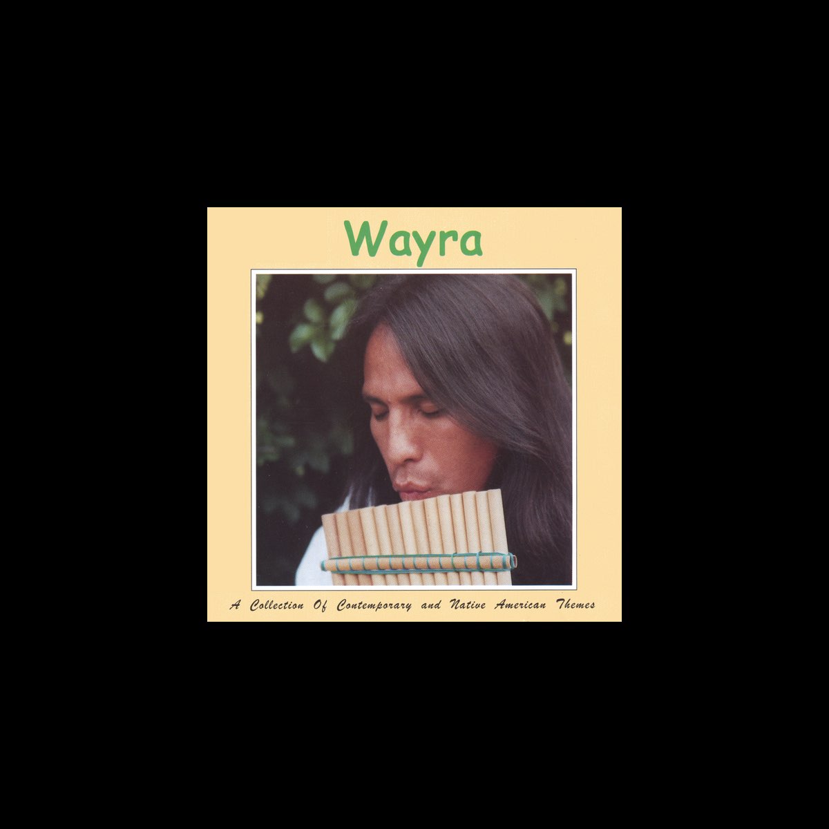 ‎A Collection of Contemporary and Native American Themes. - Album by ...